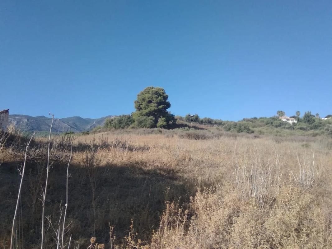 Terreno en venta en Alhaurín de la Torre, Malaga photo 2