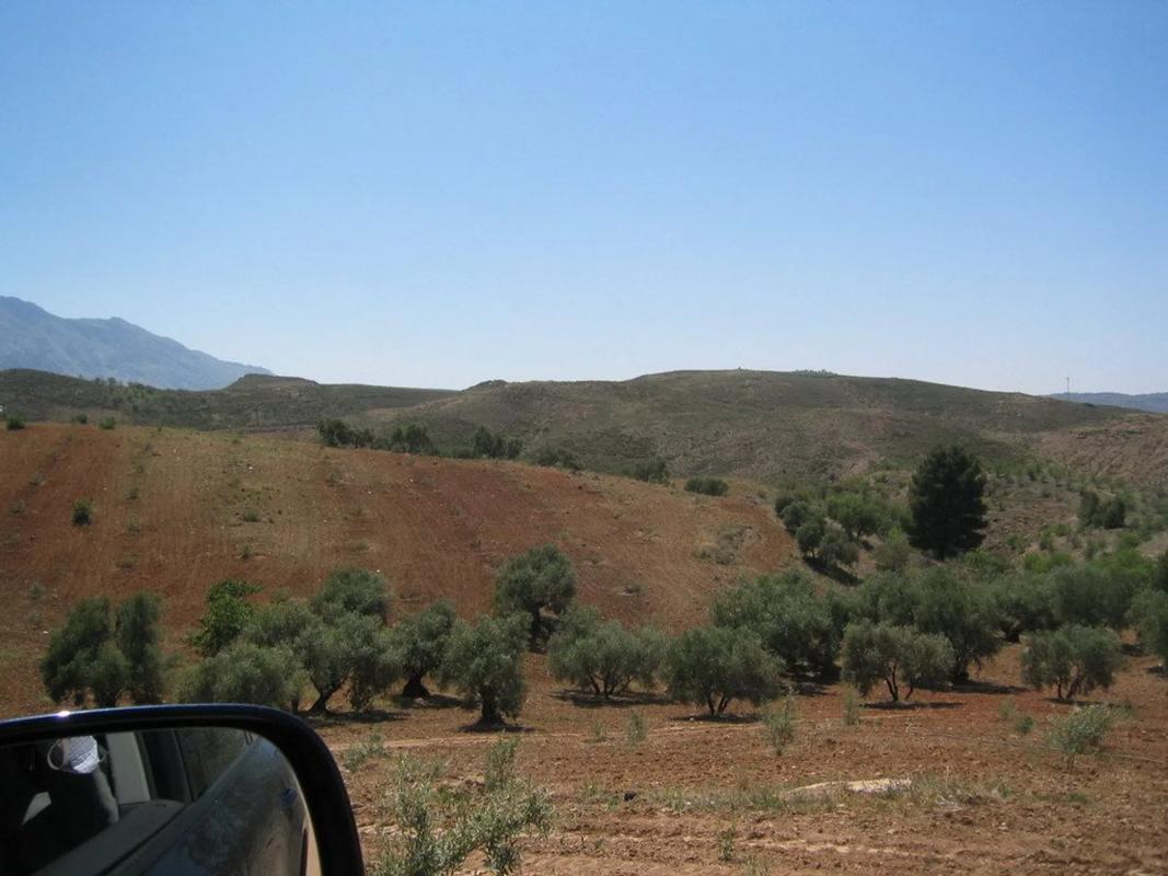 Działka na sprzedaż w Antequera, Malaga photo 1