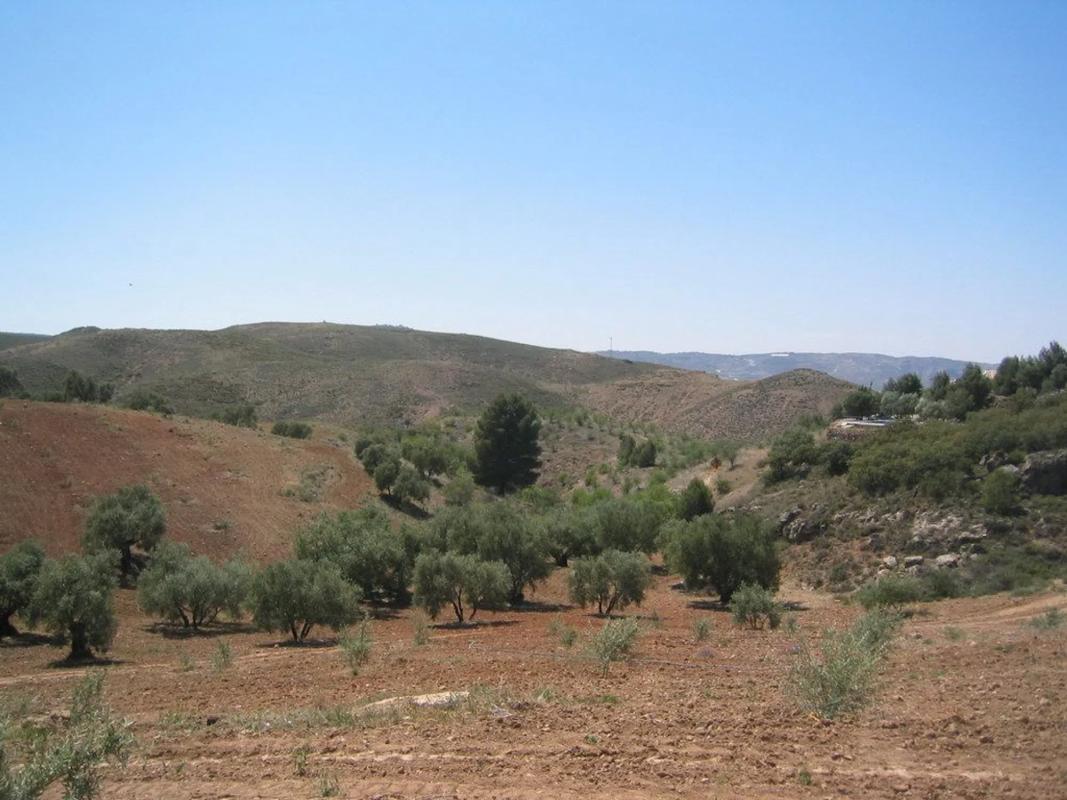 Działka na sprzedaż w Antequera, Malaga photo 4