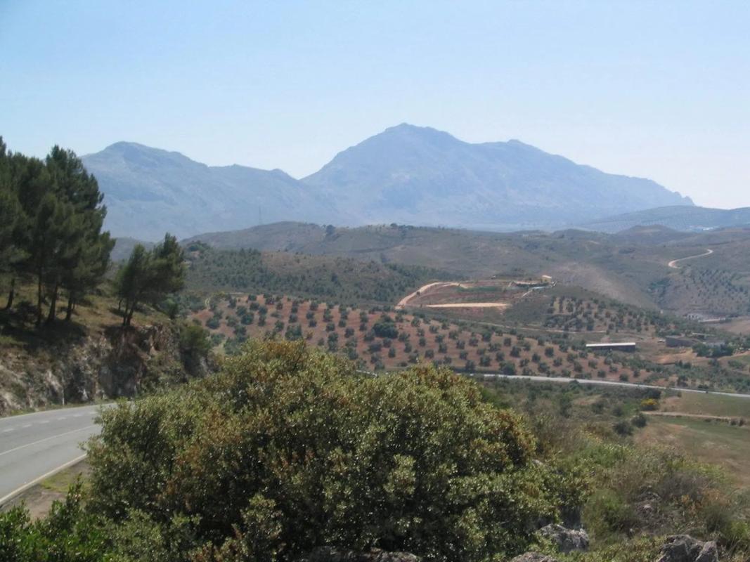 Działka na sprzedaż w Antequera, Malaga photo 5