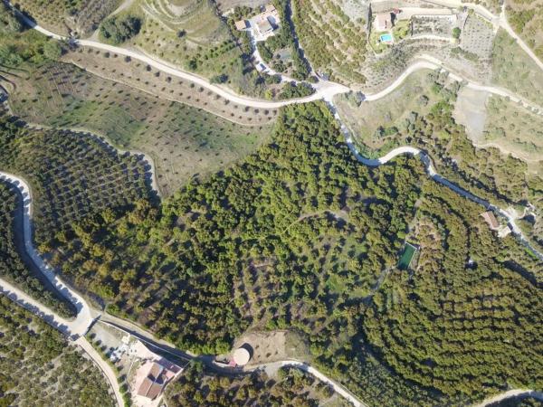 Terreno en Frigiliana photo 2