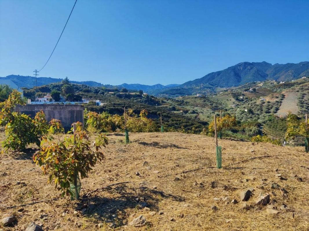 Terreno en venta en Frigiliana, Malaga photo 3