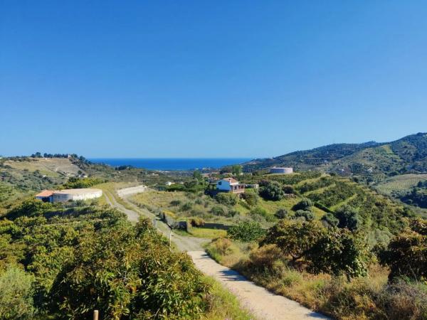 Terreno en Frigiliana photo 4