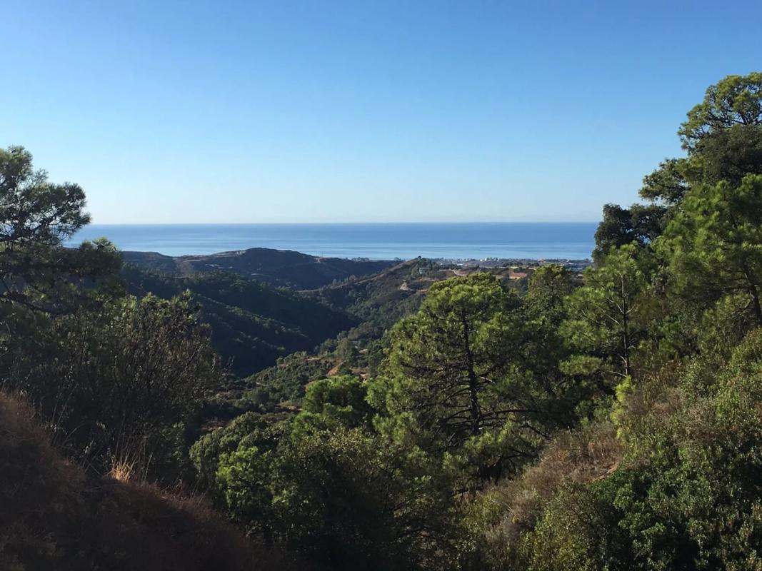 Terreno en venta en Benahavís, Malaga photo 1
