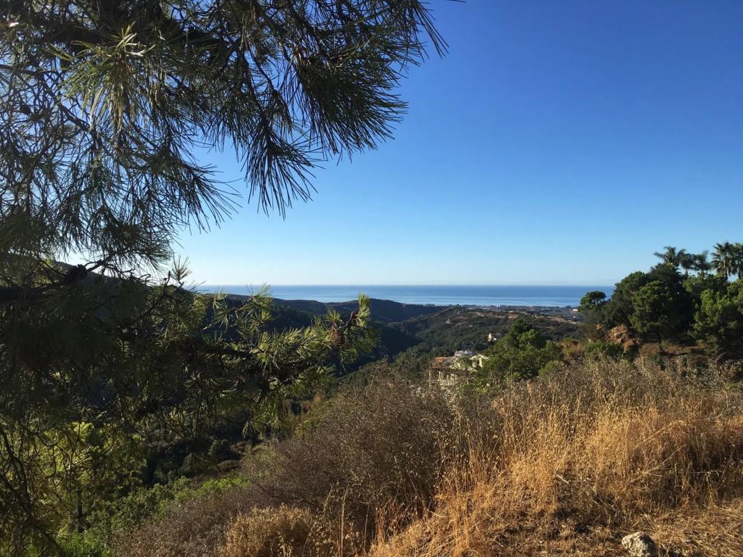 Terreno en venta en Benahavís, Malaga photo 3