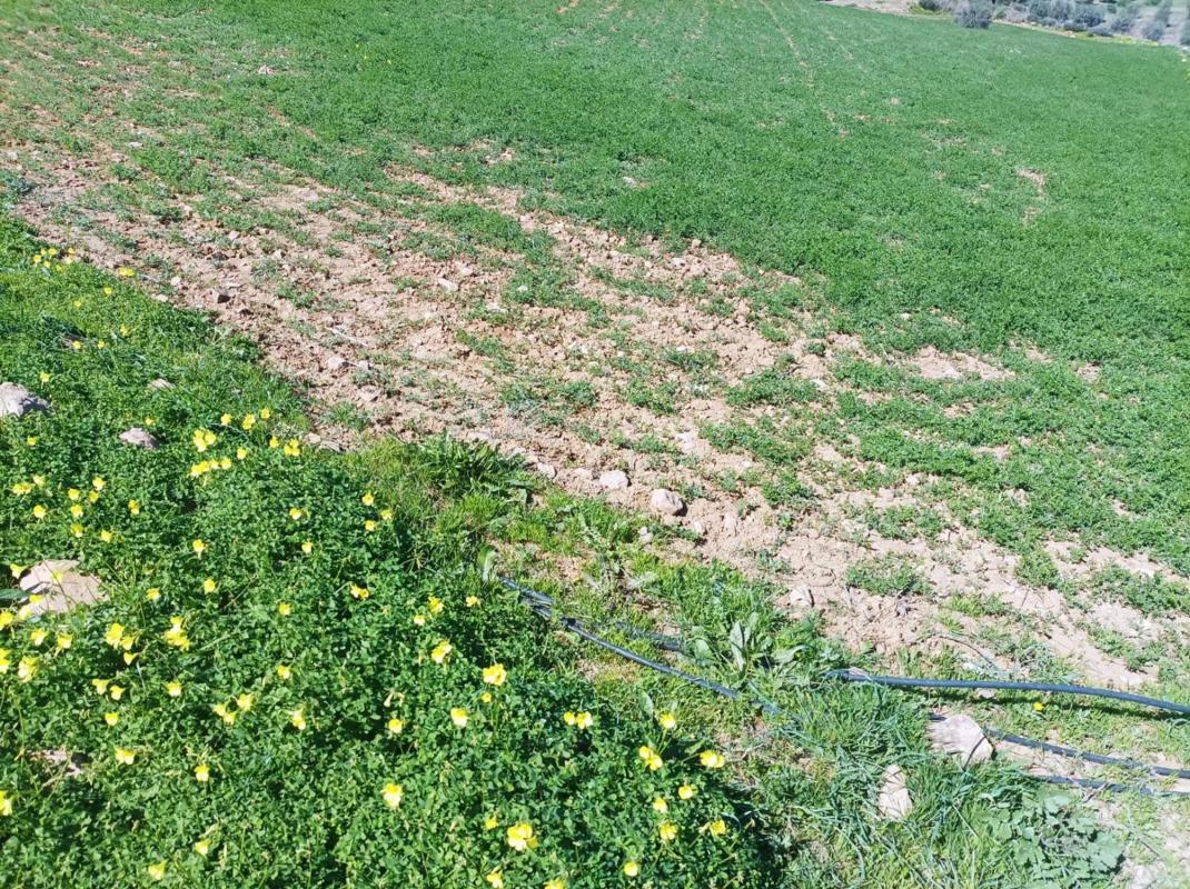 Terreno en venta en Pizarra, Malaga photo 1