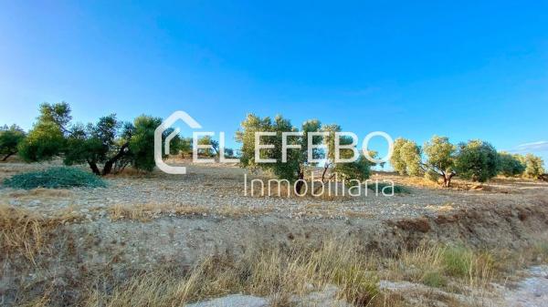 Terreno en Bobadilla - Bobadilla Estación - La Joya photo 1