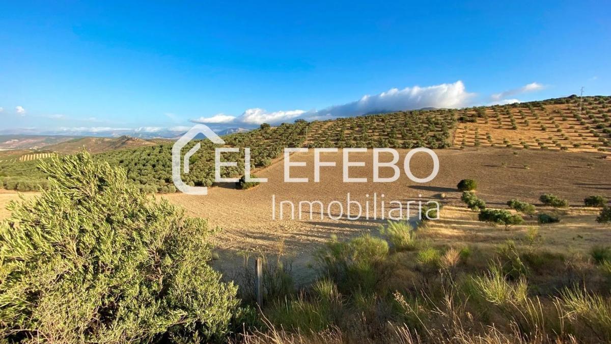 Terreno en venta en Antequera, Malaga photo 2