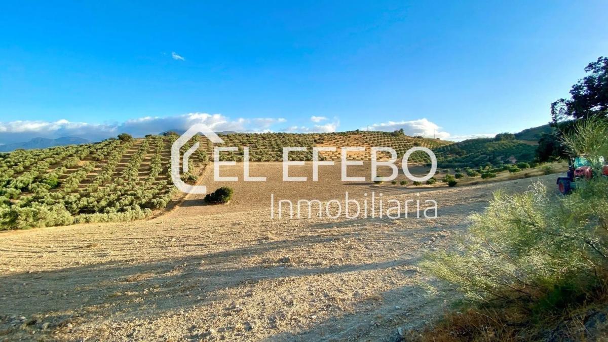 Terreno en venta en Antequera, Malaga photo 3