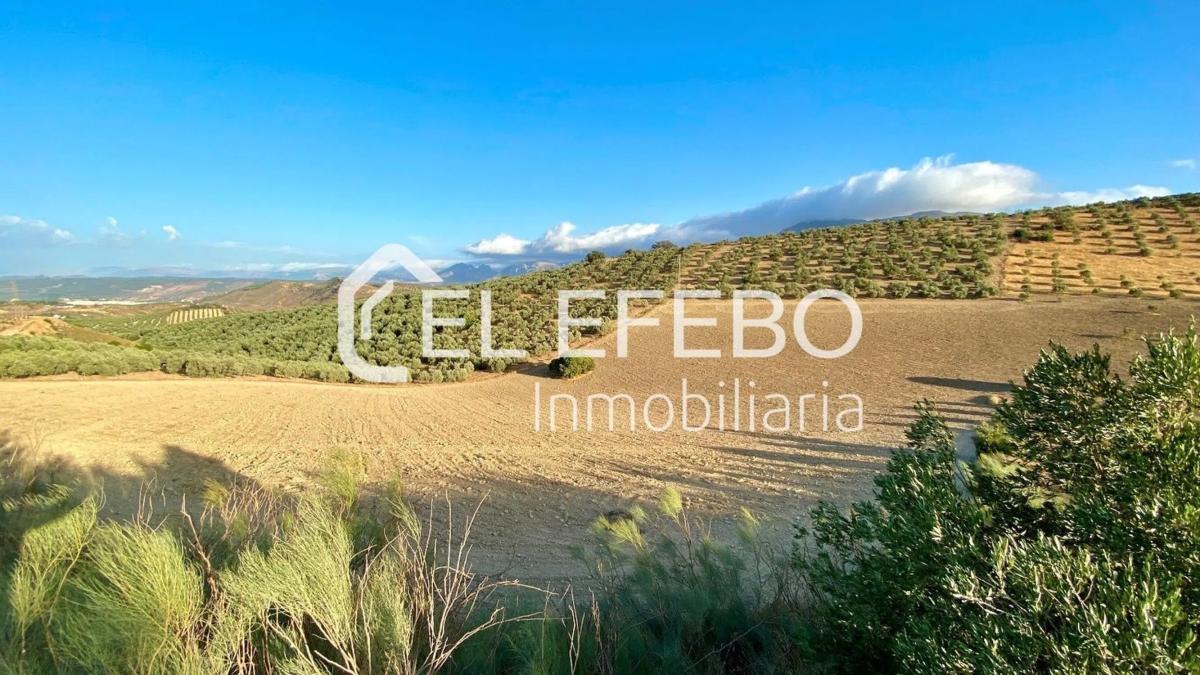 Terreno en venta en Antequera, Malaga photo 4