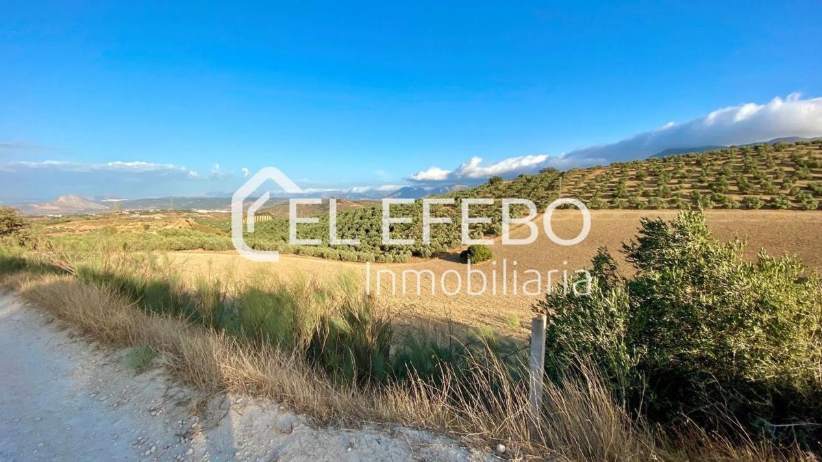 Terreno en venta en Antequera, Malaga photo 5