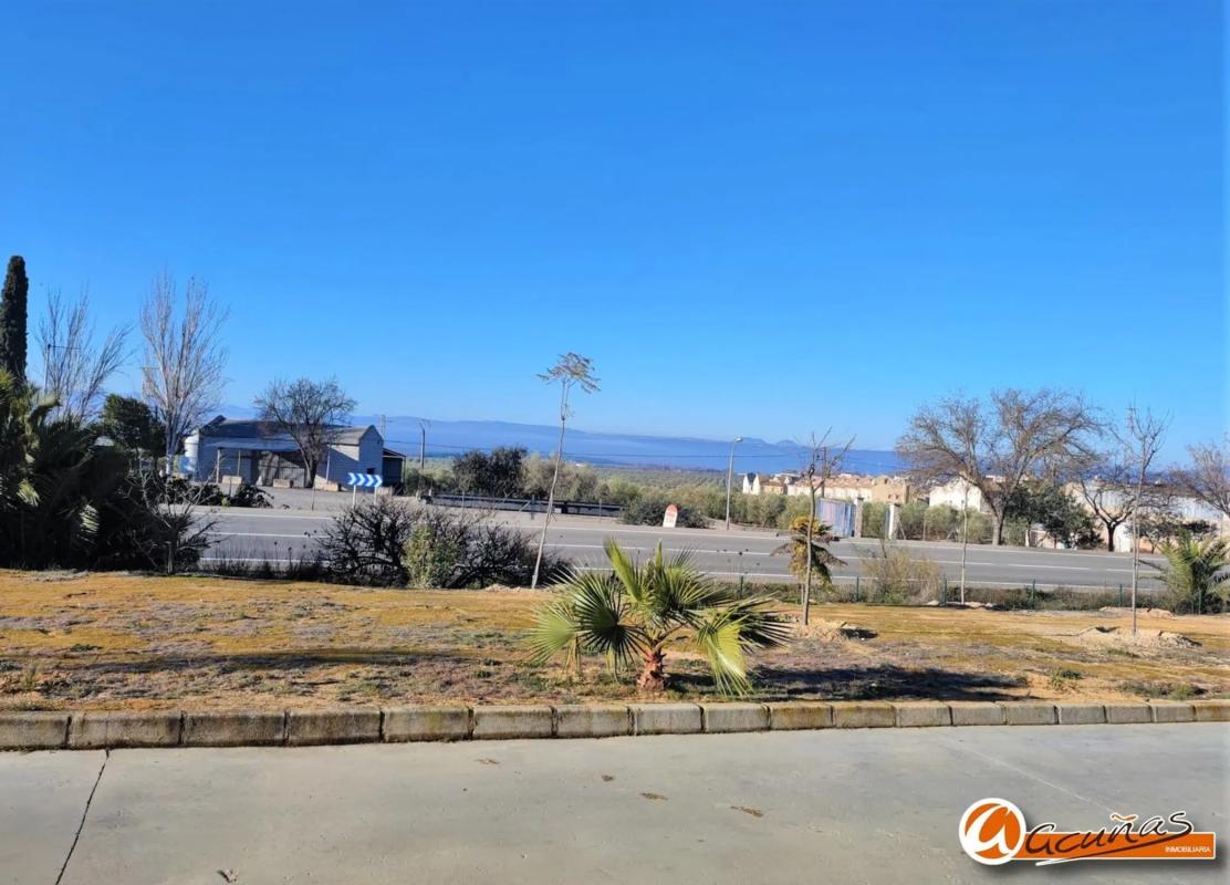 Terreno en venta en Fuente de Piedra, Malaga photo 3