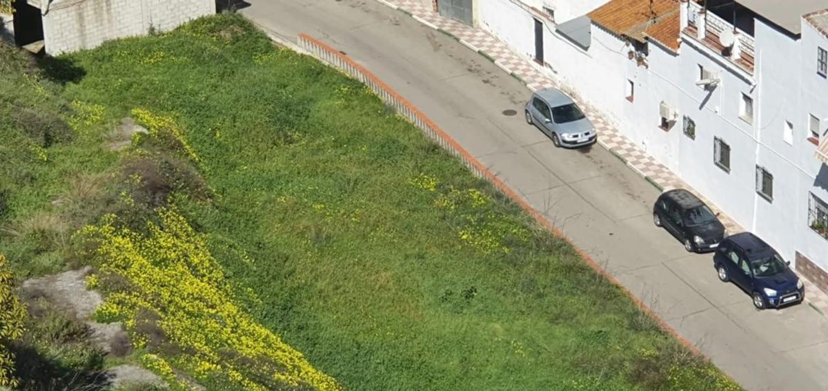 Terreno en venta en Benamocarra, Malaga photo 1