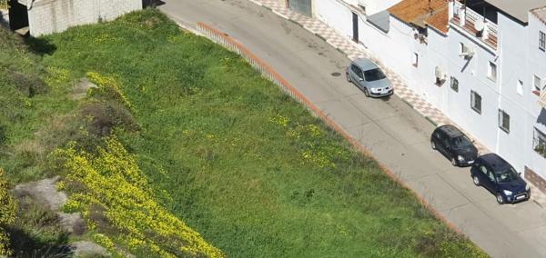 Terreno en Benamocarra photo 1