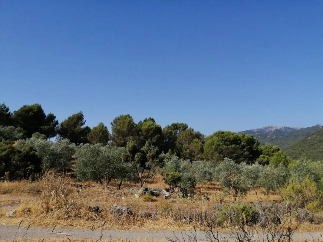 Terreno en venta en Yunquera, Malaga photo 1