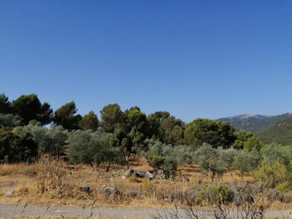 Terreno en carretera A-366 s/n photo 1