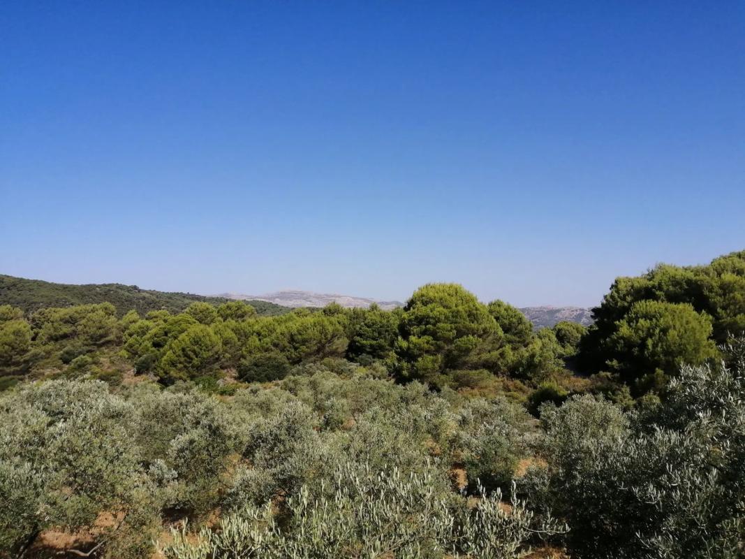 Terreno en venta en Yunquera, Malaga photo 2