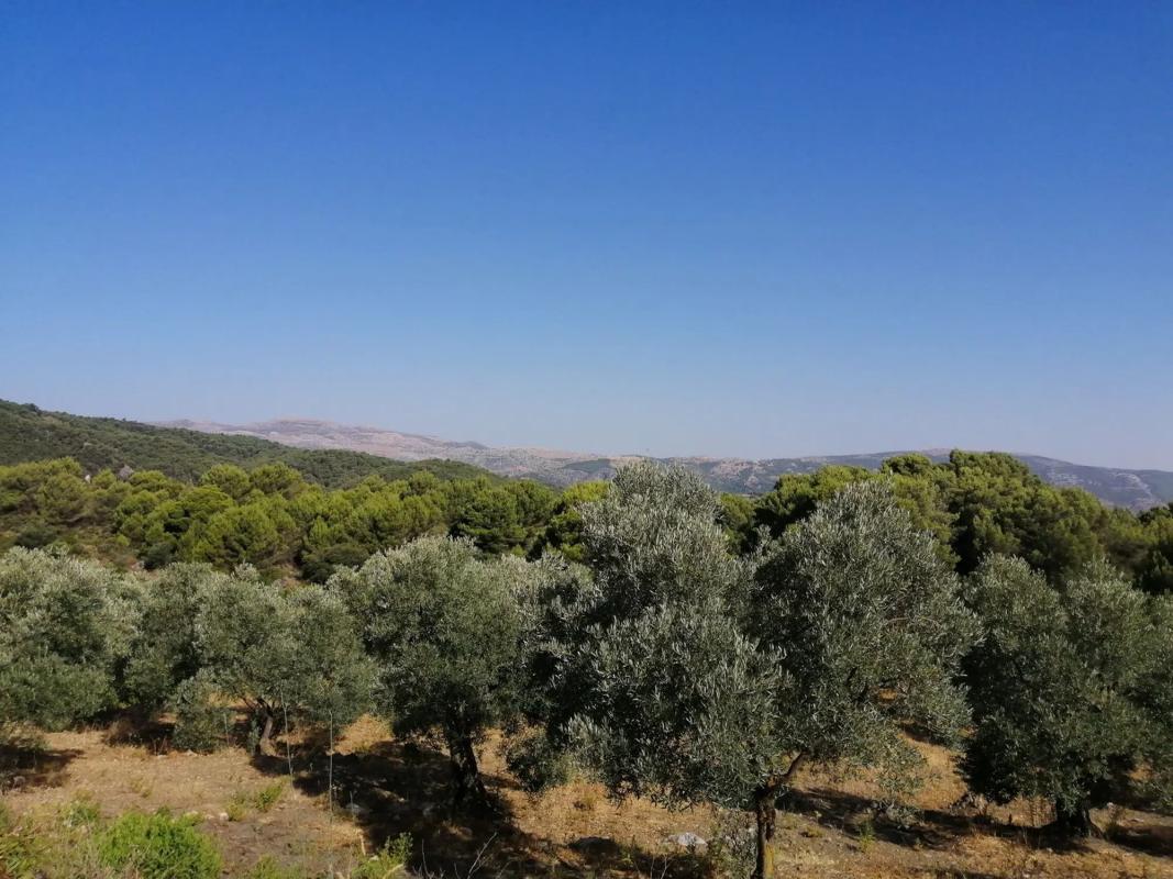 Terreno en venta en Yunquera, Malaga photo 3