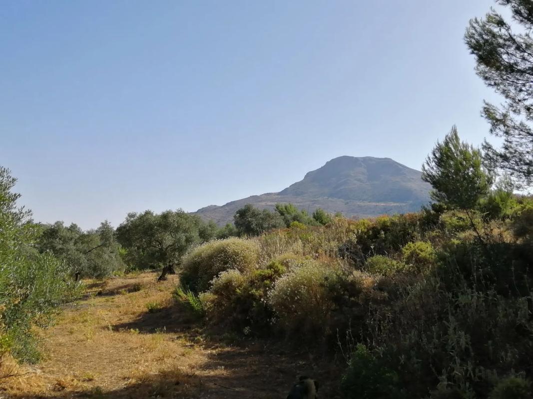 Terreno en venta en Yunquera, Malaga photo 4
