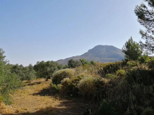 Terreno en carretera A-366 s/n photo 4