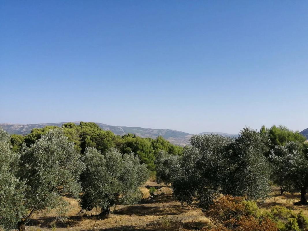 Terreno en venta en Yunquera, Malaga photo 5