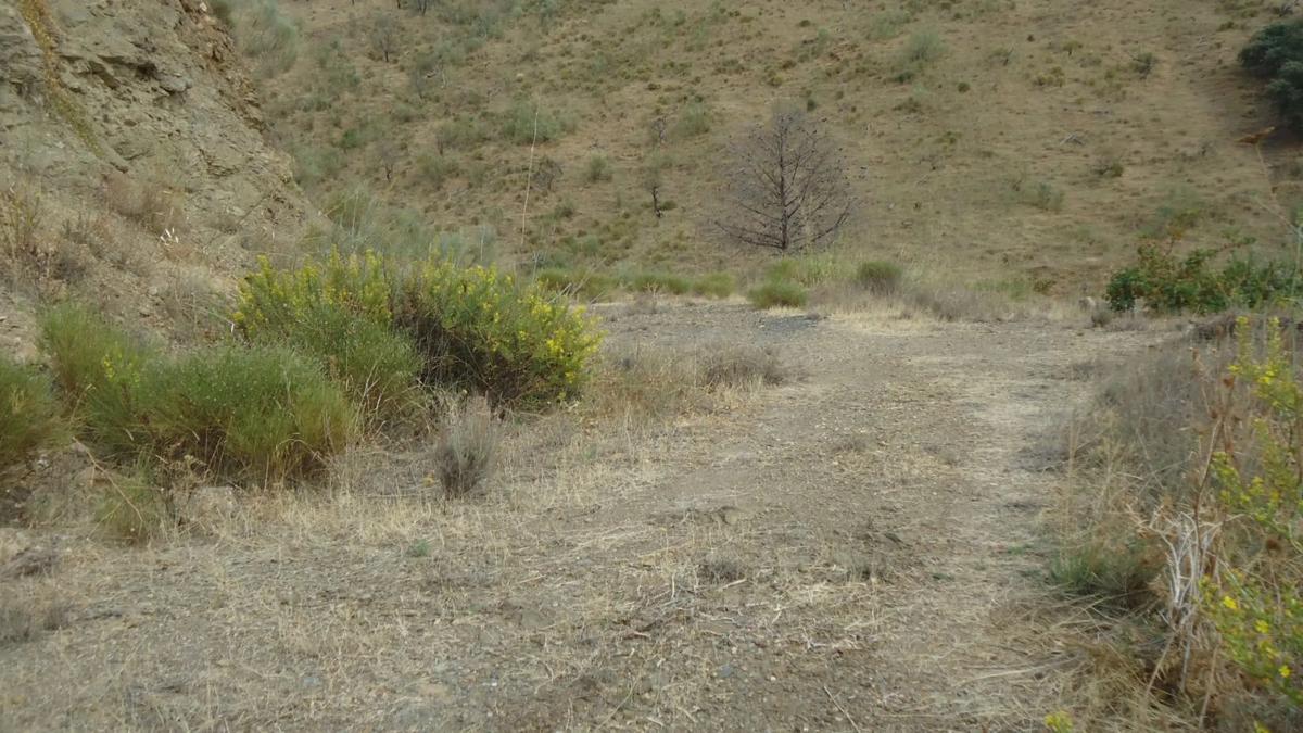 Land for sale in Casabermeja, Malaga photo 1