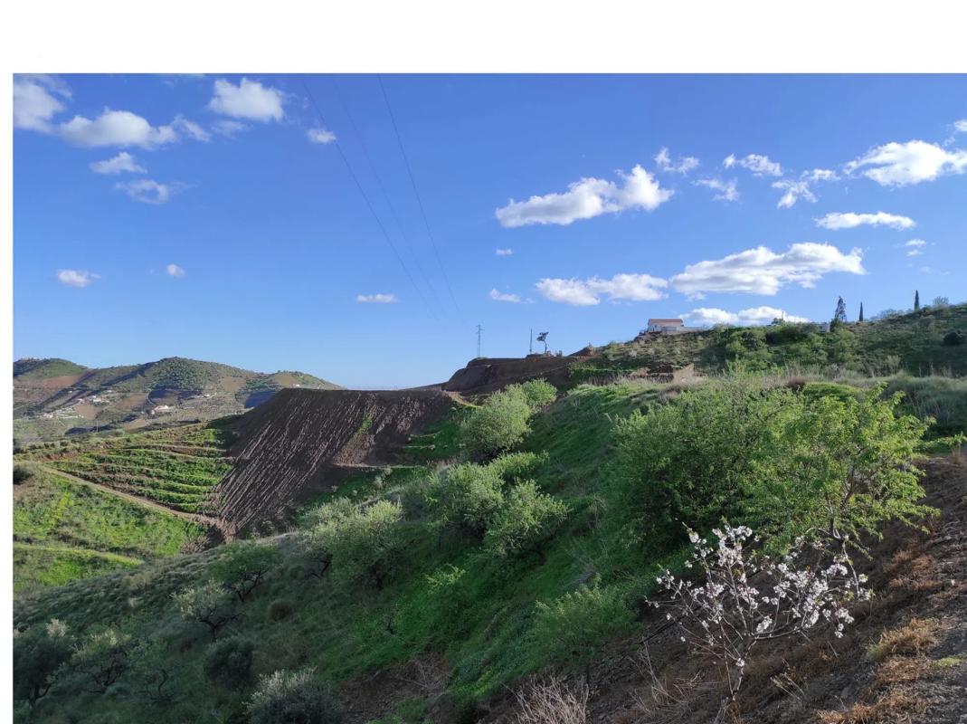 Terreno en venta en Iznate, Malaga photo 4