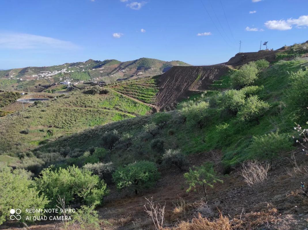 Terreno en venta en Iznate, Malaga photo 5