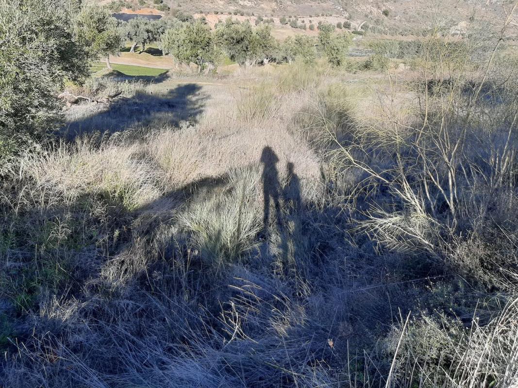Terreno en venta en Antequera, Malaga photo 2