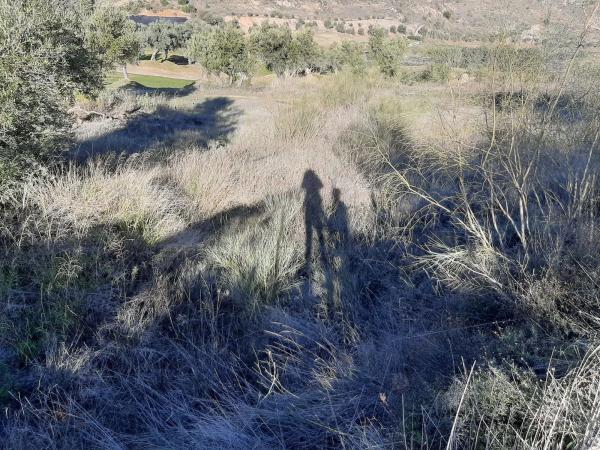 Terreno en Arrabal Urb Antequera Golf, 255 photo 2