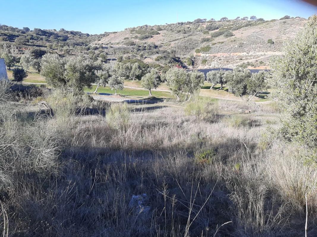 Terreno en venta en Antequera, Malaga photo 3