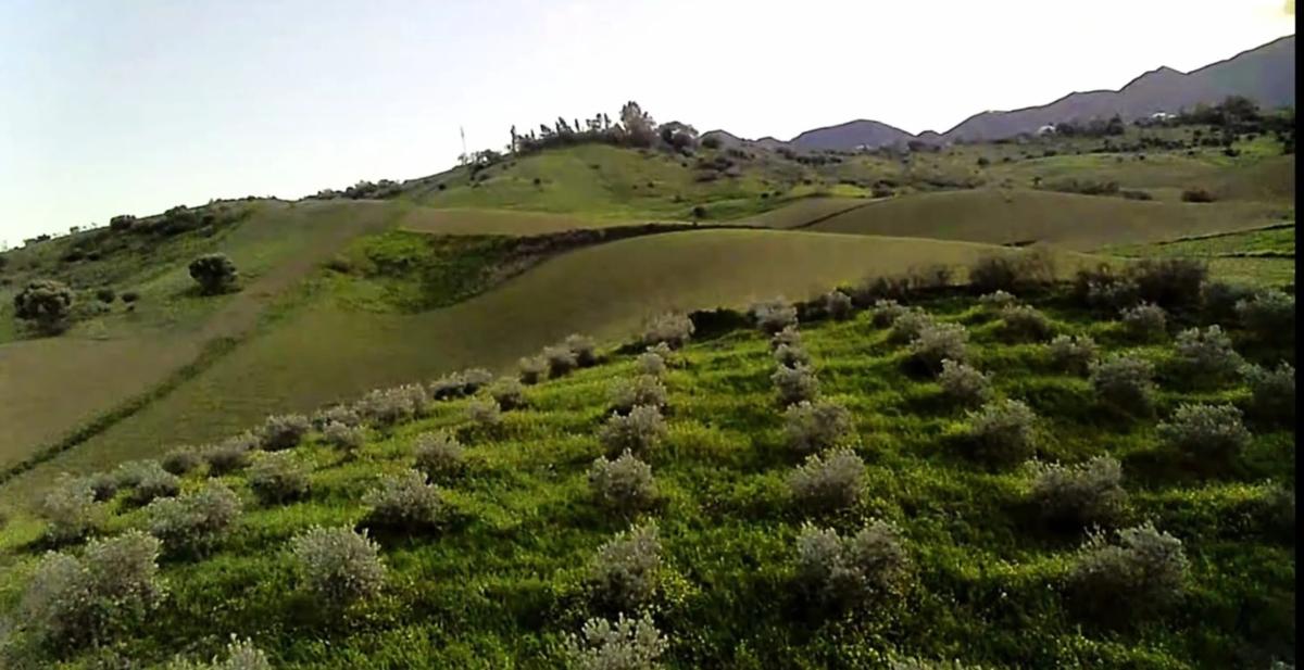 Terreno en venta en Alhaurín de la Torre, Malaga photo 3