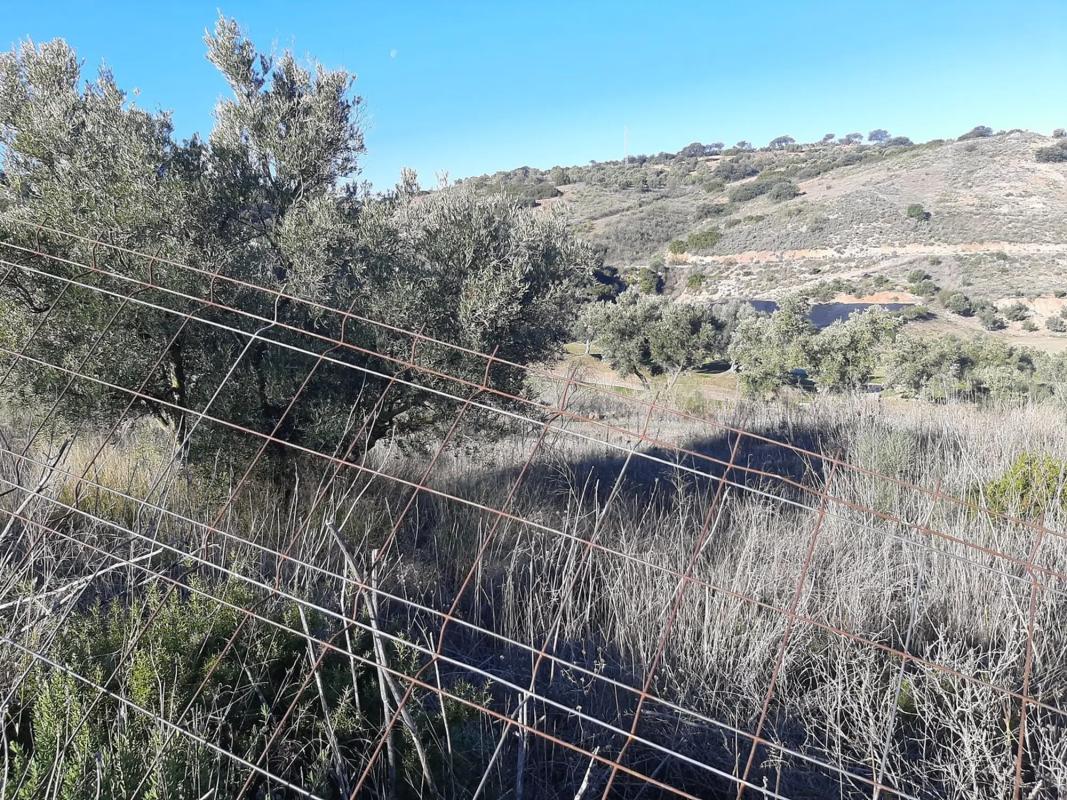 Terreno en venta en Antequera, Malaga photo 4