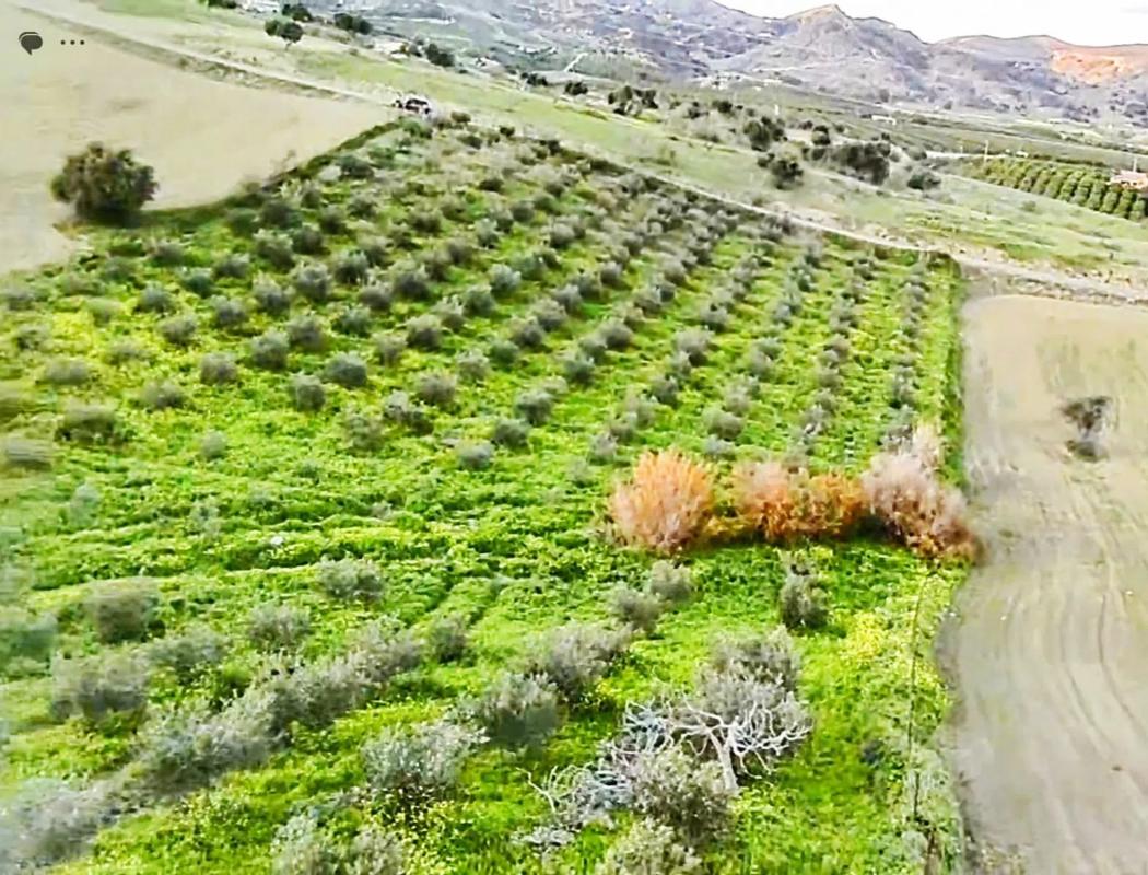 Terreno en venta en Alhaurín de la Torre, Malaga photo 4