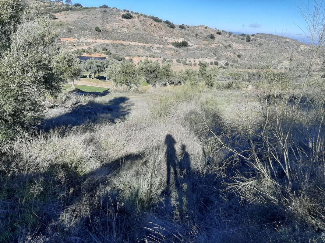 Terreno en venta en Antequera, Malaga photo 5