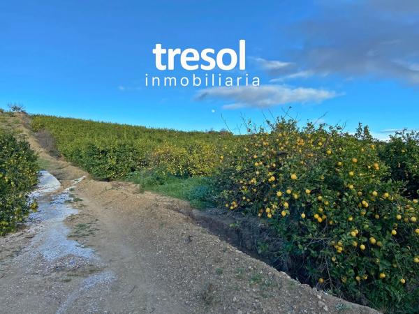 Terreno en Jardines de Alhaurín-Huerta Alta-Fuensanguínea photo 1