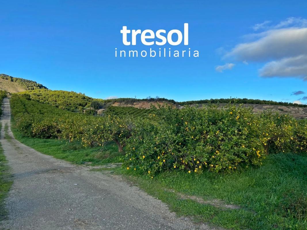 Terreno en venta en Alhaurín de la Torre, Malaga photo 2