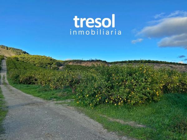 Terreno en Jardines de Alhaurín-Huerta Alta-Fuensanguínea thumbnail 1