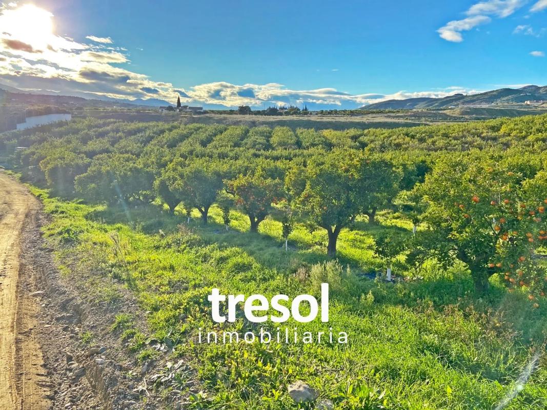 Terreno en venta en Alhaurín de la Torre, Malaga photo 3