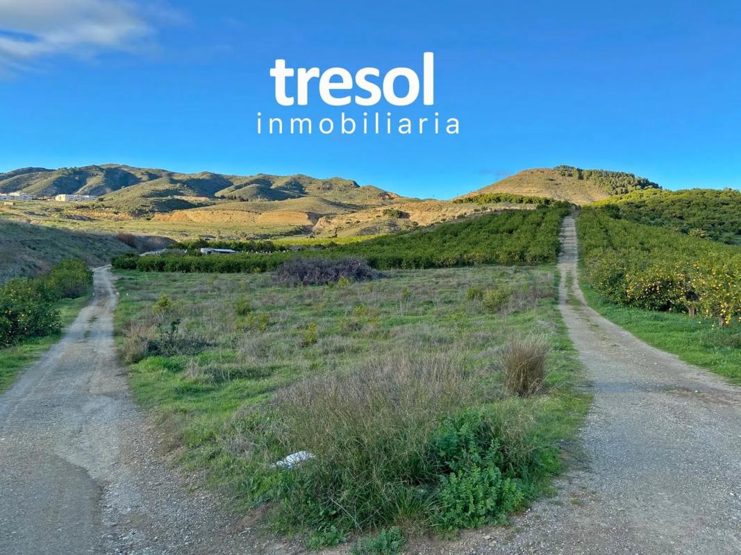 Terreno en venta en Alhaurín de la Torre, Malaga photo 4