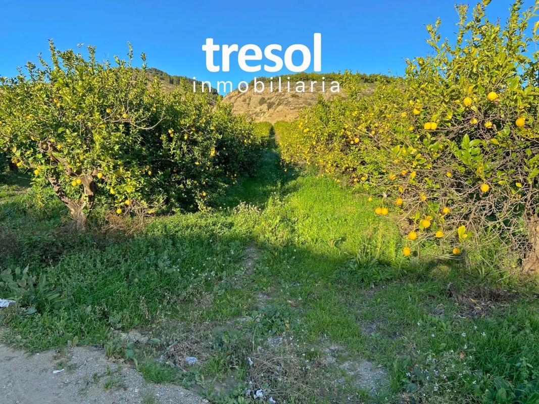Terreno en venta en Alhaurín de la Torre, Malaga photo 5