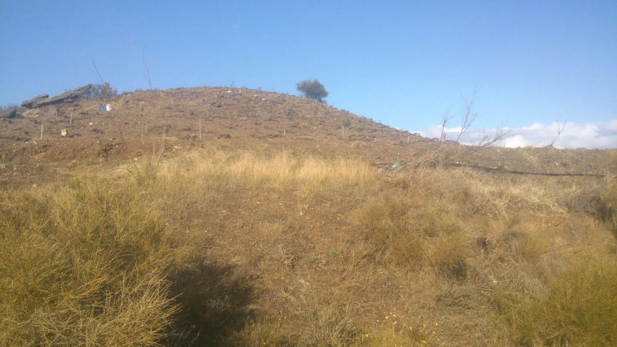 Land for sale in Vélez-Málaga, Malaga photo 2