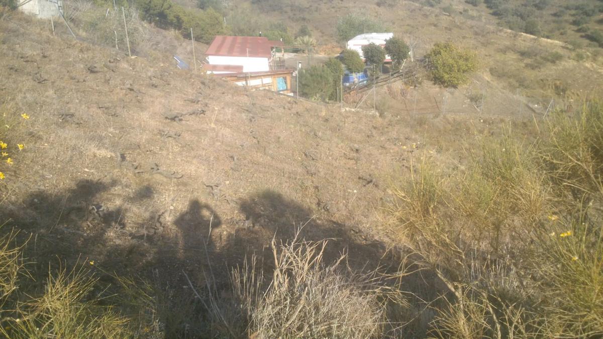 Land for sale in Vélez-Málaga, Malaga photo 5
