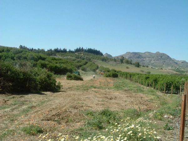 Terreno en Pizarra photo 3
