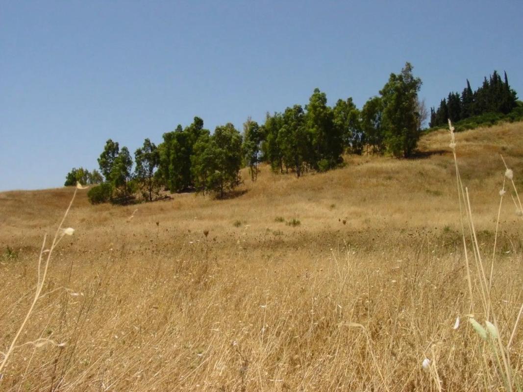 Działka na sprzedaż w Pizarra, Malaga photo 4
