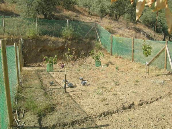 Terreno en Comares photo 4