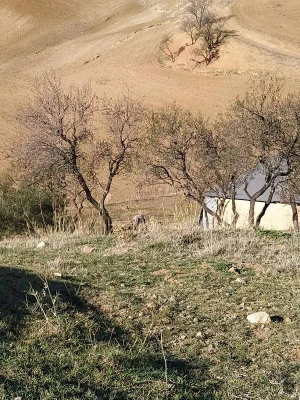 Terreno en venta en Ardales, Malaga photo 3
