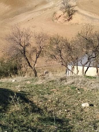 Terreno en carretera El Burgo s/n photo 3