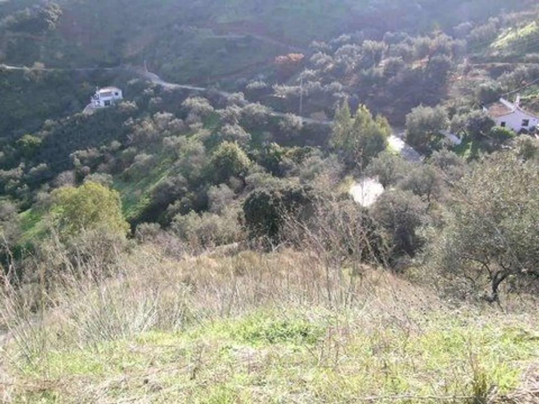 Land for sale in Comares, Malaga photo 3