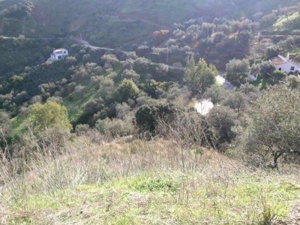 Terreno en Comares photo 3